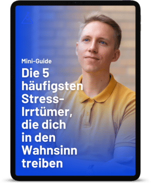 Cover PDF "Die 5 häufigsten Stress-Irrtümer, die dich in den Wahnsinn treiben