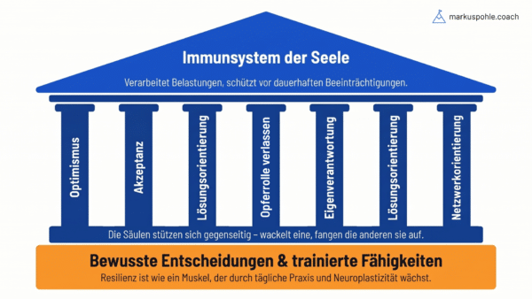 Das Immunsystem der Seele: Akzeptanz, Optimismus, Eigenverantwortung, Lösungsorientierung, Netzwerkorientierung, Zukunftsplanung, Rollen verlassen