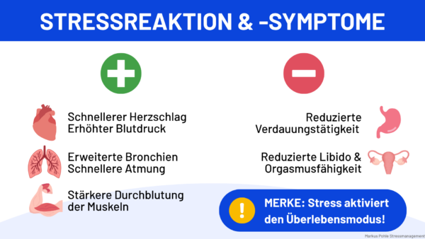 Infografik: Stresssymptome – erhöhter Puls, Blutdruck und Atmung; verminderte Verdauung und Libido. Stress aktiviert den Überlebensmodus.